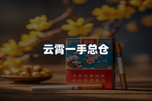 云霄一手总仓